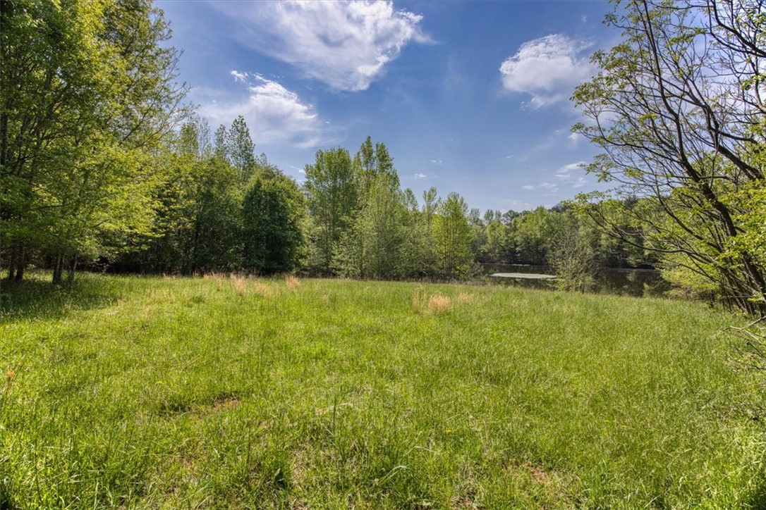 600 Harper Road, Pendleton, South Carolina image 5