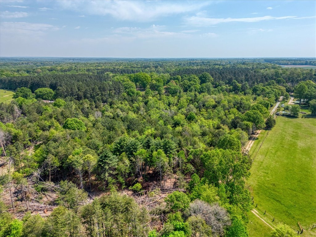 600 Harper Road, Pendleton, South Carolina image 10