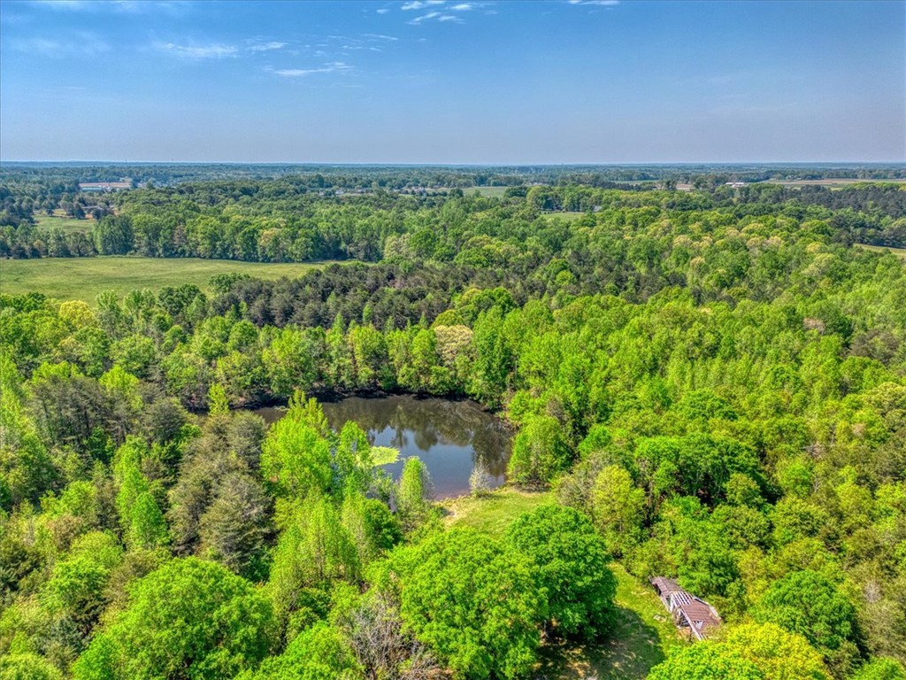 600 Harper Road, Pendleton, South Carolina image 11