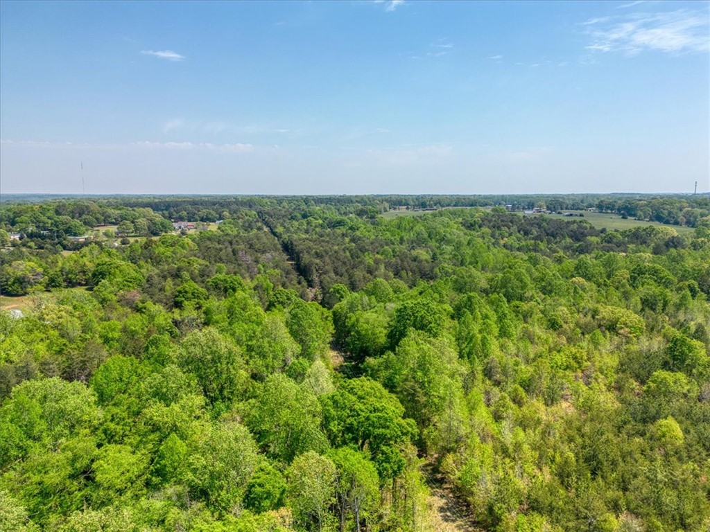 600 Harper Road, Pendleton, South Carolina image 18