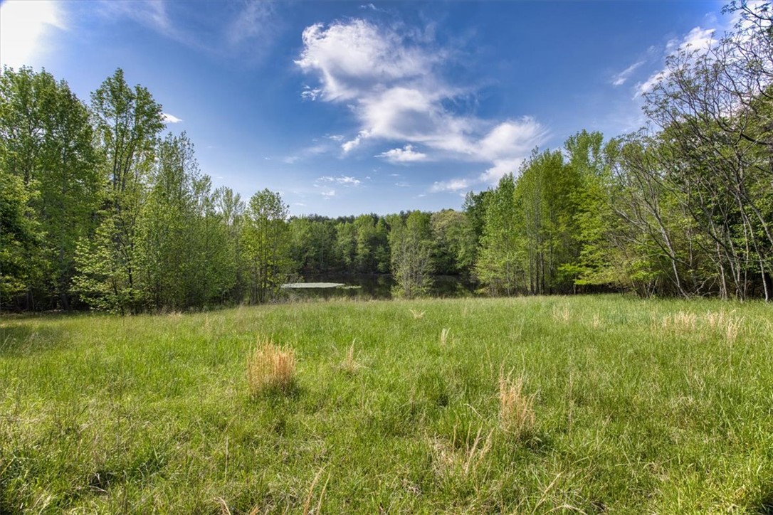 600 Harper Road, Pendleton, South Carolina image 4