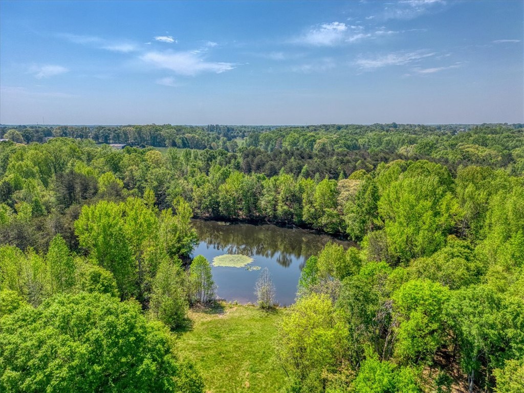 600 Harper Road, Pendleton, South Carolina image 12