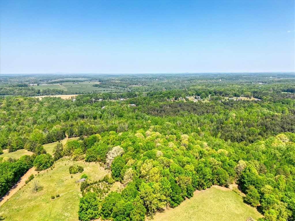 600 Harper Road, Pendleton, South Carolina image 15