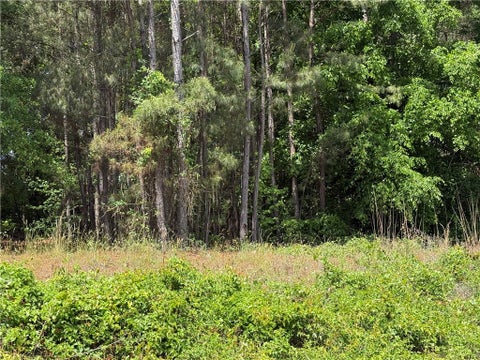 Vacant Land For Sale - Airline Road #LOT 2<br/> Anderson, SC 29624