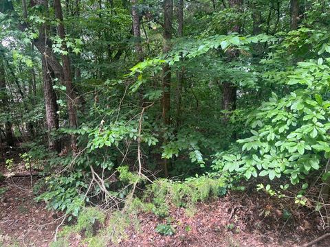 Vacant Land For Sale - 137 Tulip Lane<br/> Westminster, SC 29693