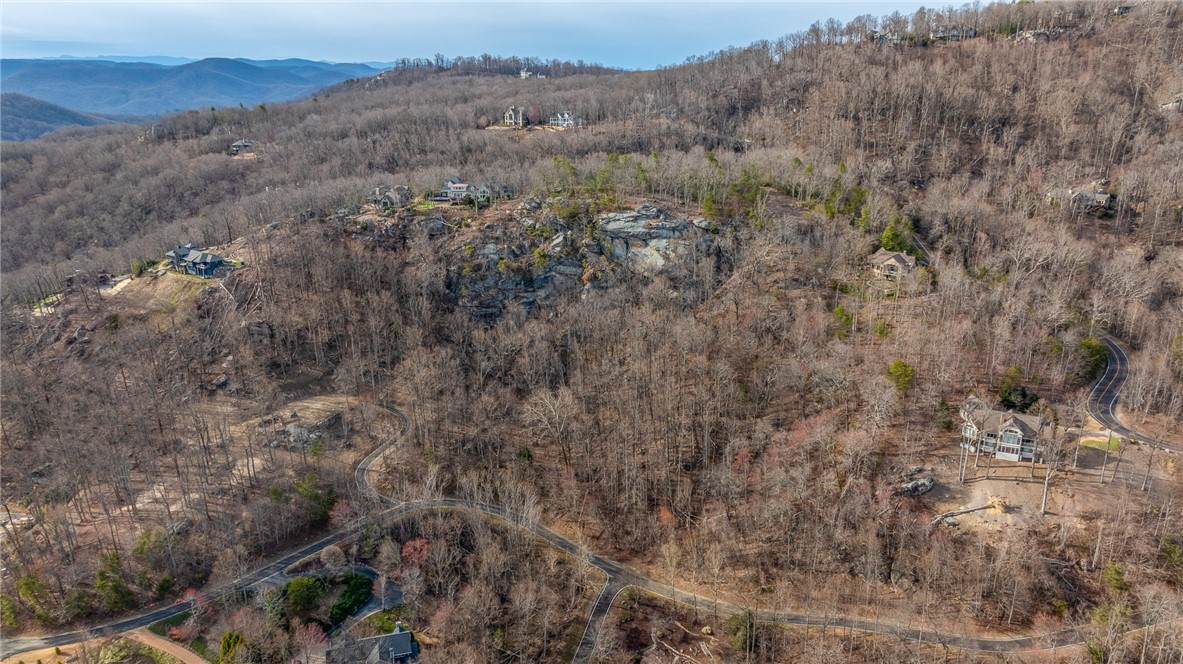 00 High Country Way, Landrum, South Carolina image 10