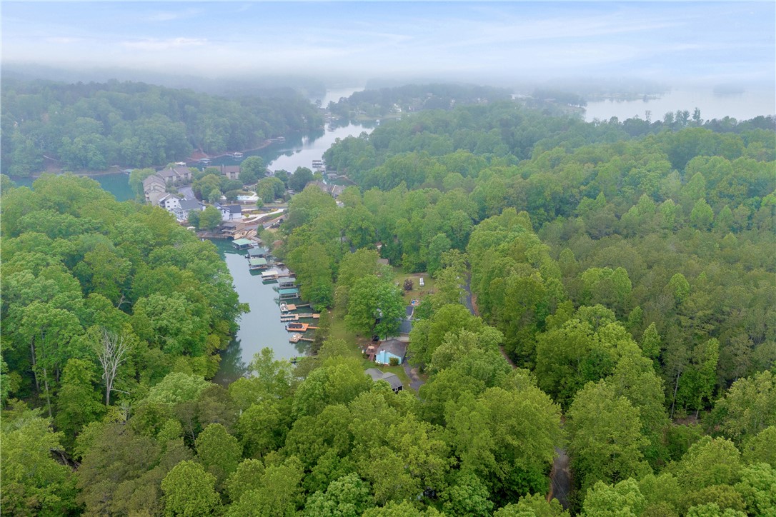 217 Hughes Street, Seneca, South Carolina image 37