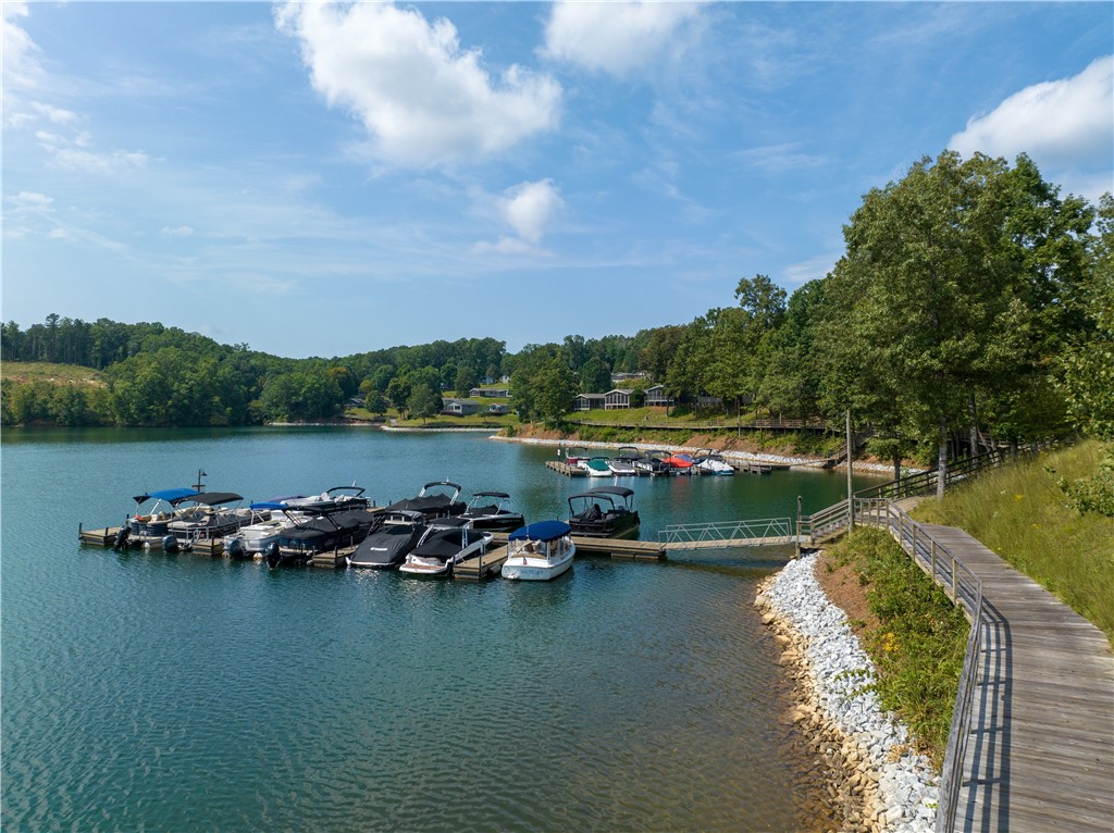 1230 Melton Road #101, West Union, South Carolina image 36