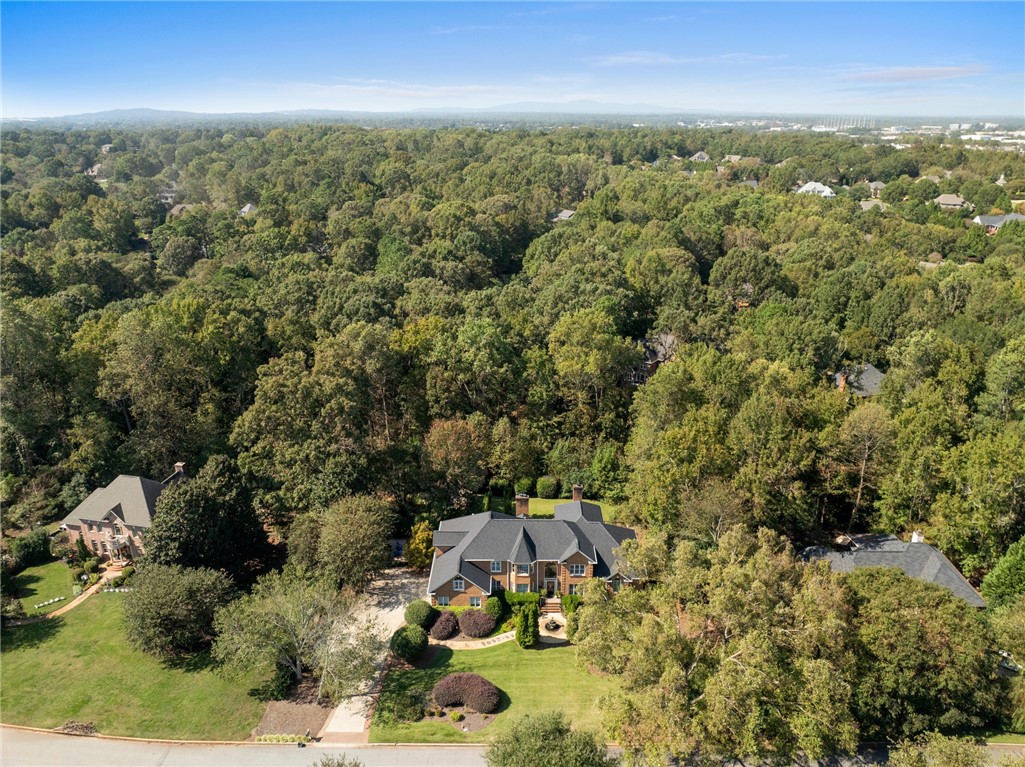 501 Spaulding Lake Drive, Greenville, South Carolina image 44