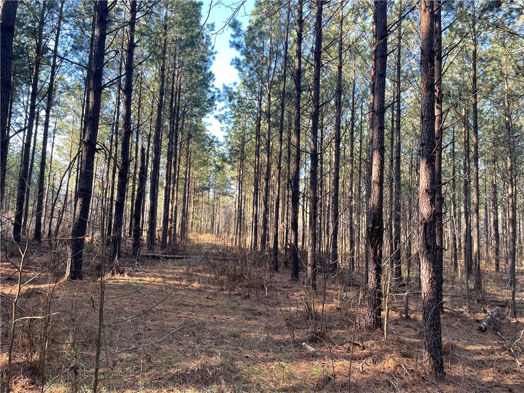 00 Ora Road, Gray Court, South Carolina image 6