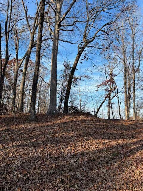 Photo for 201 Oconee Avenue