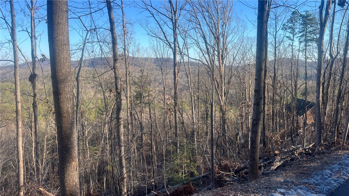 109 Stone Creek Court, Pickens, South Carolina image 1