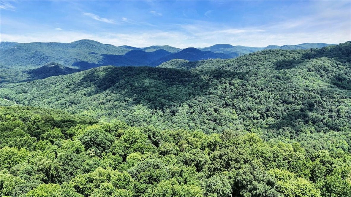 146 Glassy Falls Trail, Travelers Rest, South Carolina image 23