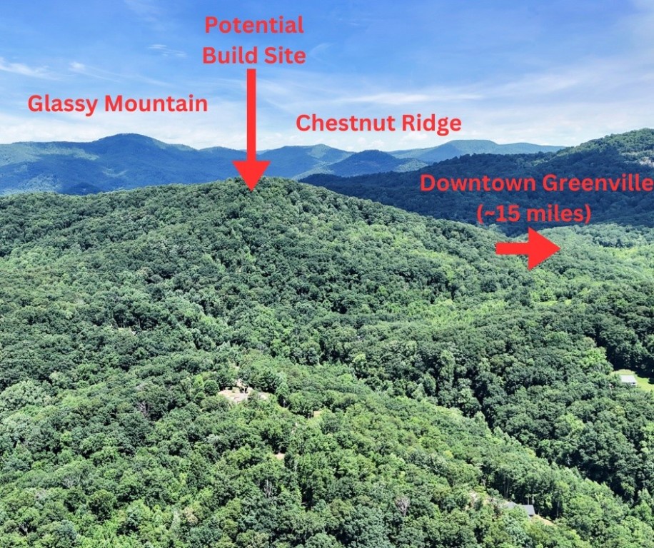 146 Glassy Falls Trail, Travelers Rest, South Carolina image 2