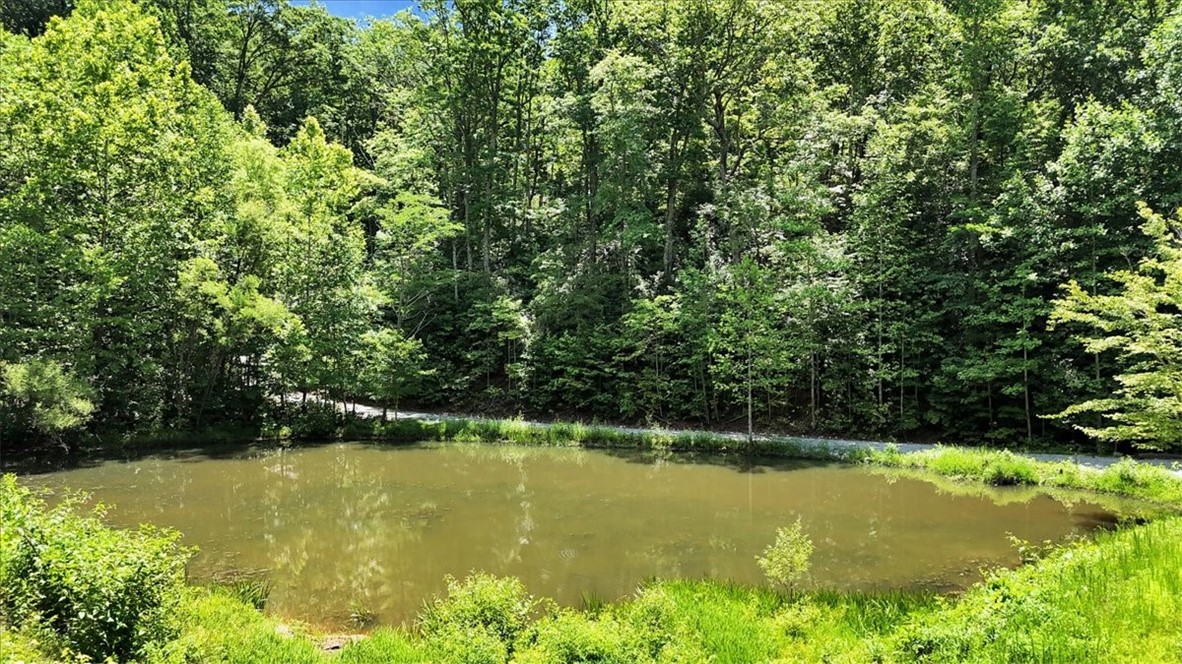 146 Glassy Falls Trail, Travelers Rest, South Carolina image 22
