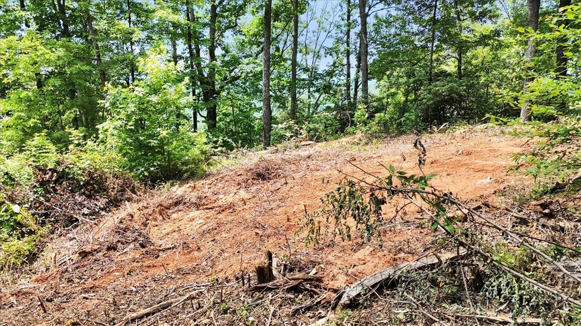 146 Glassy Falls Trail, Travelers Rest, South Carolina image 15