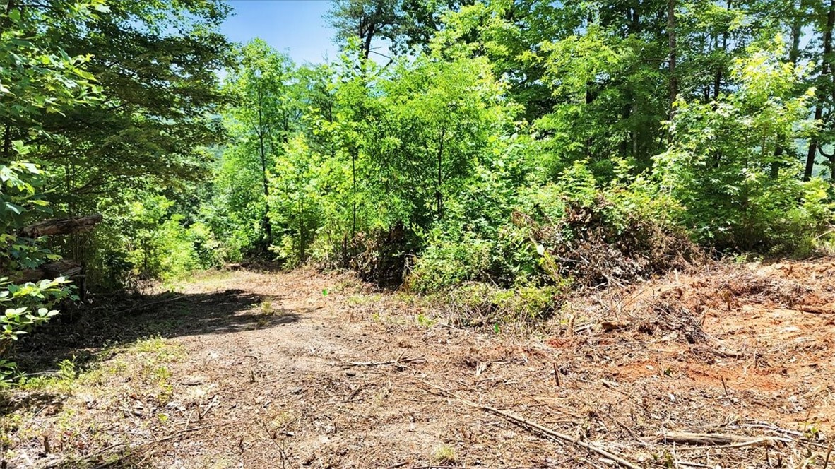 146 Glassy Falls Trail, Travelers Rest, South Carolina image 14