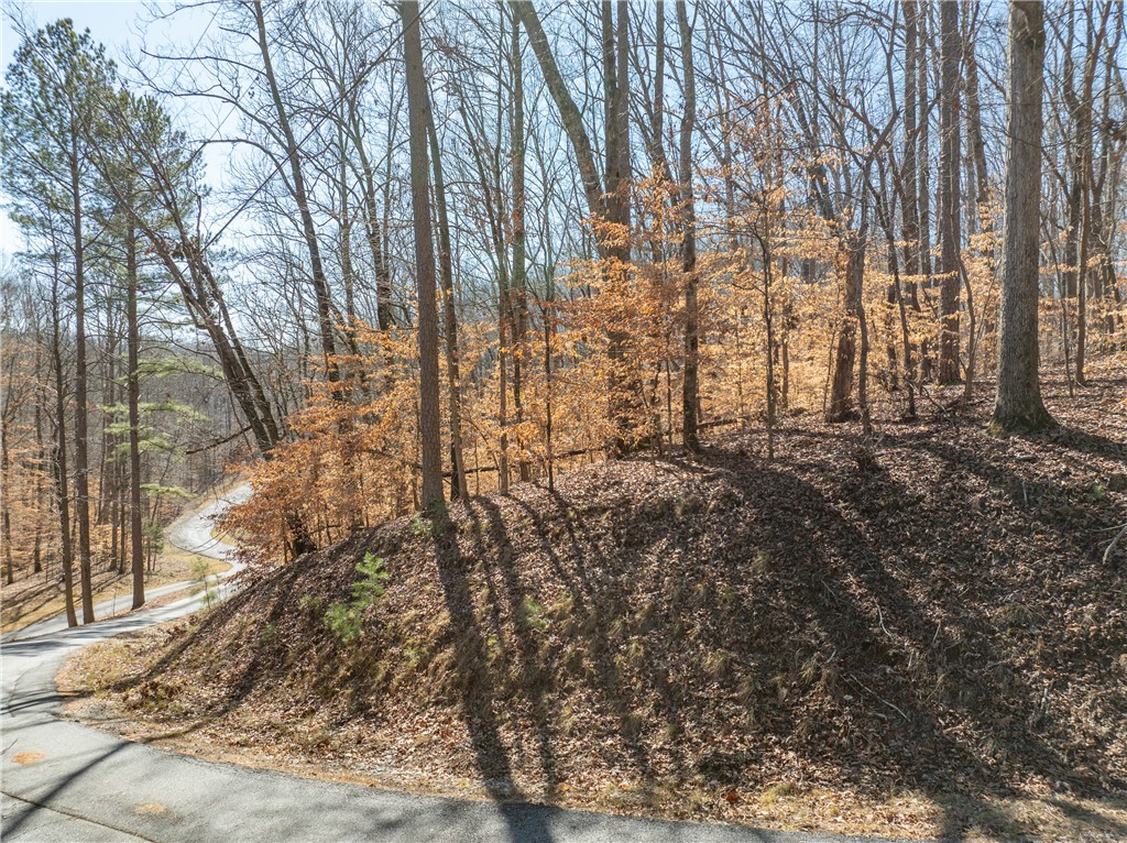 Lot 664 S Sundew Drive, Westminster, South Carolina image 5