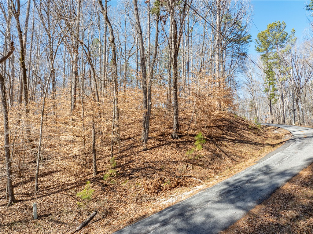 Lot 664 S Sundew Drive, Westminster, South Carolina image 8