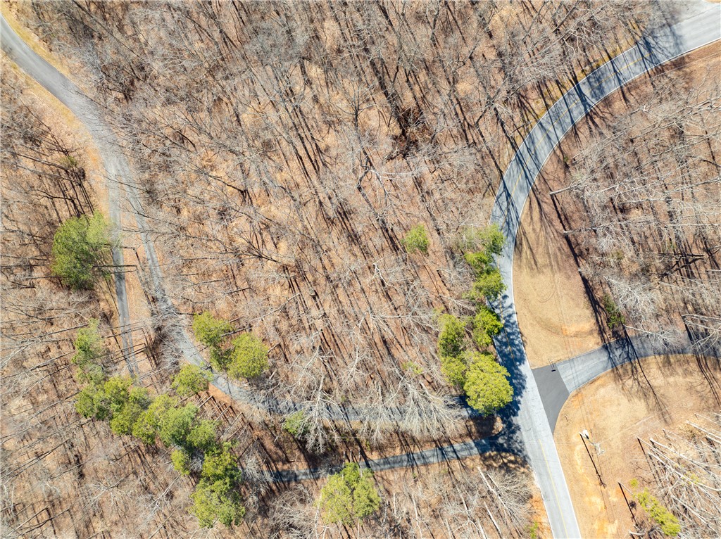 Lot 664 S Sundew Drive, Westminster, South Carolina image 10