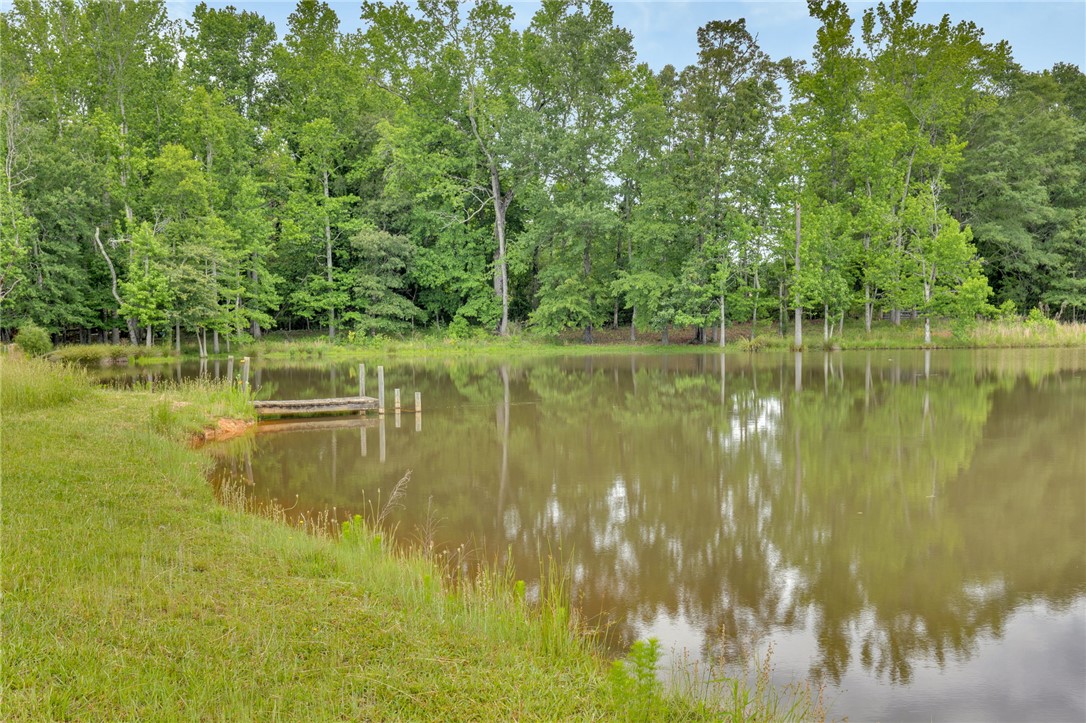 1142 Fox Squirrel Ridge Road, Pickens, South Carolina image 48