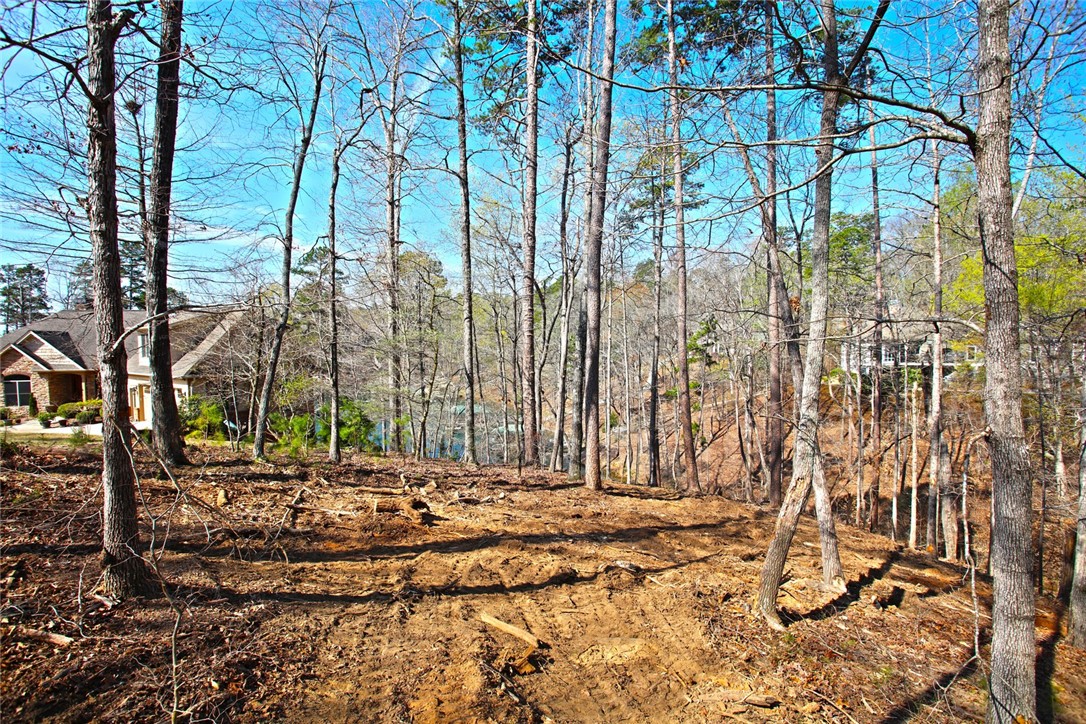 Lot 211 Waterford Pointe, Seneca, South Carolina image 27