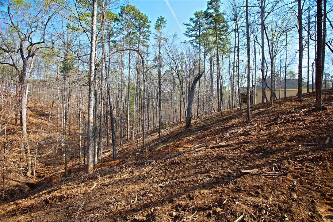 Lot 211 Waterford Pointe, Seneca, South Carolina image 24
