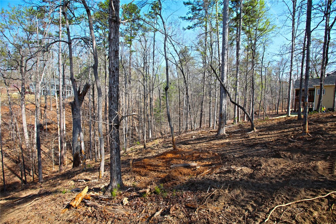 Lot 211 Waterford Pointe, Seneca, South Carolina image 30