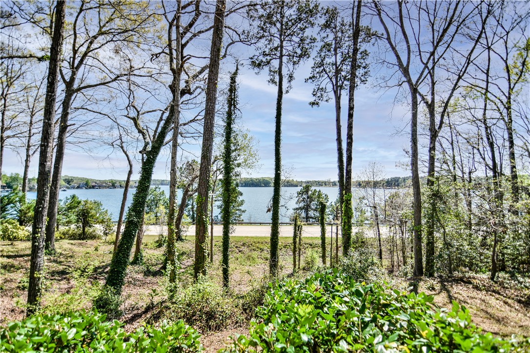 19 Spy Glass Lane, Salem, South Carolina image 45