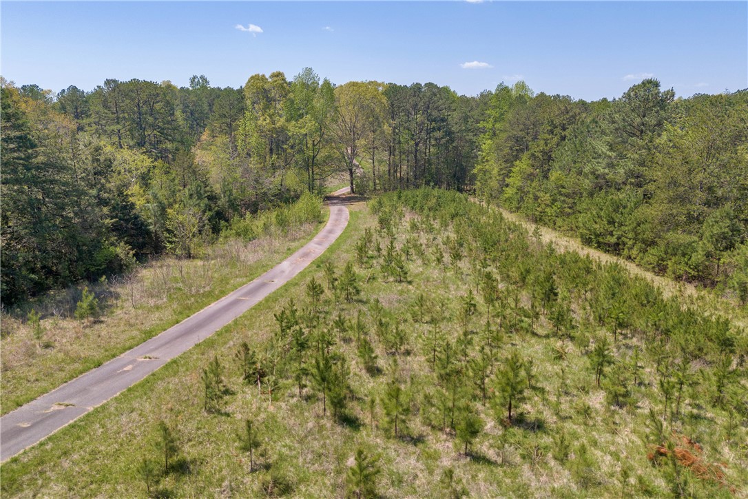 573 Nimmons Bridge Road, Salem, South Carolina image 3