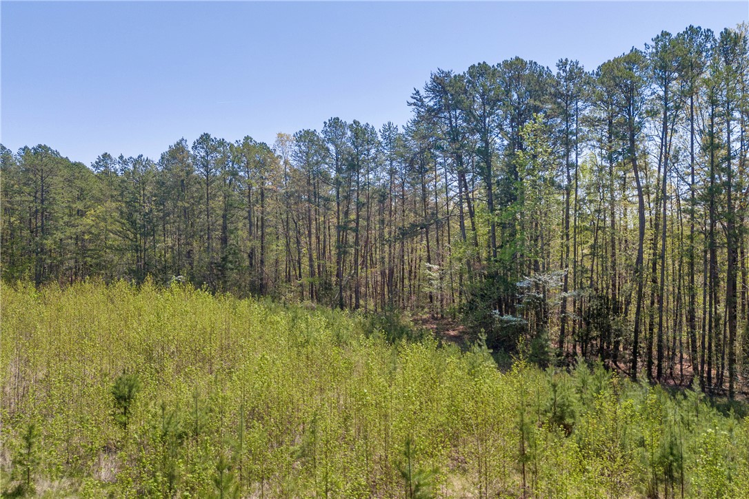 573 Nimmons Bridge Road, Salem, South Carolina image 25