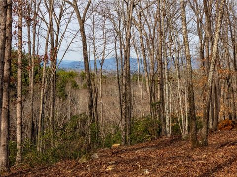 Vacant Land For Sale - LOT 116 Pine Harbor Way<br/> Salem, SC 29676