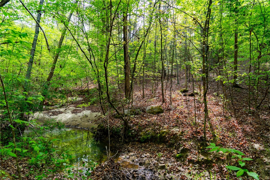 10381 Indian Mound Road, Ware Shoals, South Carolina image 13