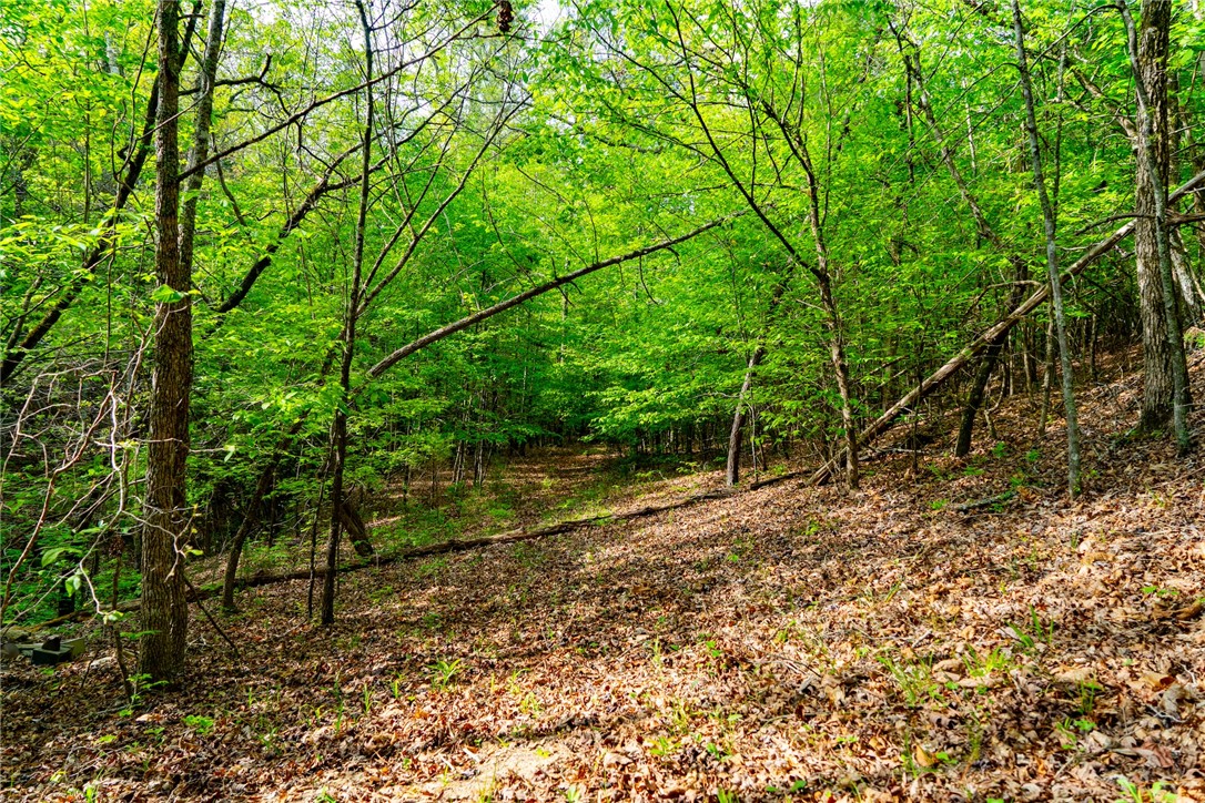 10381 Indian Mound Road, Ware Shoals, South Carolina image 14