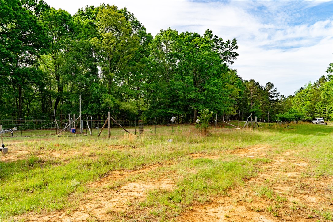 10381 Indian Mound Road, Ware Shoals, South Carolina image 22