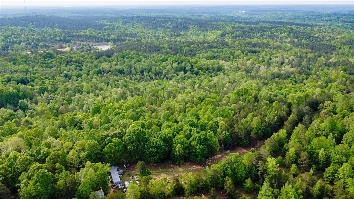 10381 Indian Mound Road, Ware Shoals, South Carolina image 33