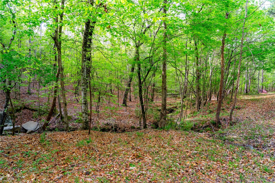 10381 Indian Mound Road, Ware Shoals, South Carolina image 12