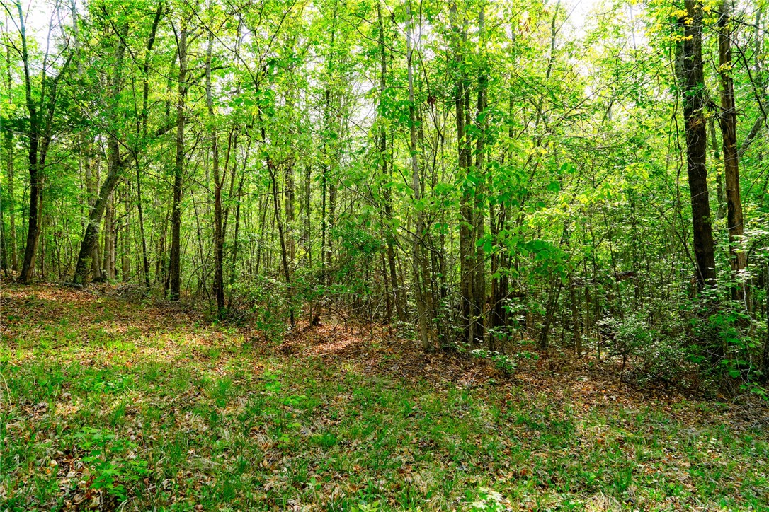 10381 Indian Mound Road, Ware Shoals, South Carolina image 18