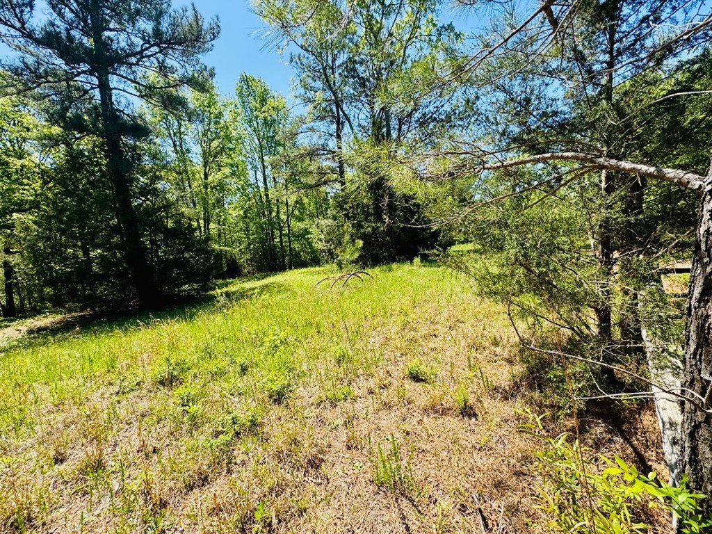 10381 Indian Mound Road, Ware Shoals, South Carolina image 23