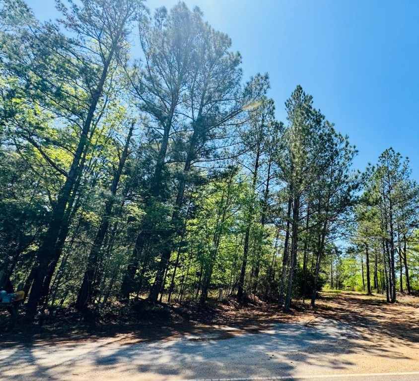 10381 Indian Mound Road, Ware Shoals, South Carolina image 29