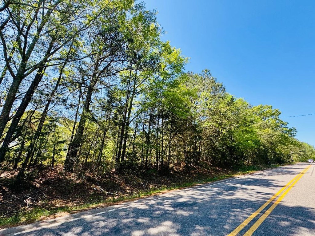 10381 Indian Mound Road, Ware Shoals, South Carolina image 28