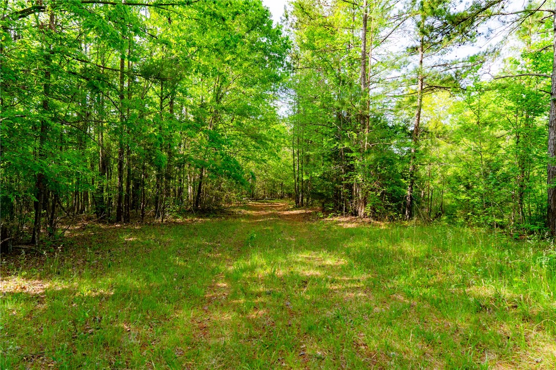 10381 Indian Mound Road, Ware Shoals, South Carolina image 4