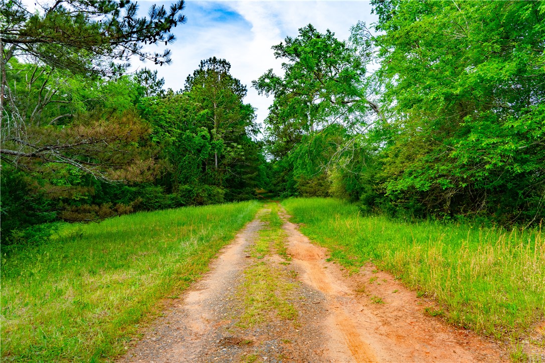 10381 Indian Mound Road, Ware Shoals, South Carolina image 3