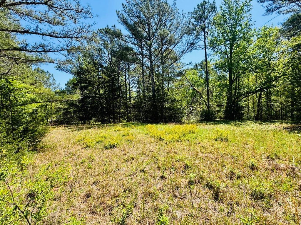 10381 Indian Mound Road, Ware Shoals, South Carolina image 24