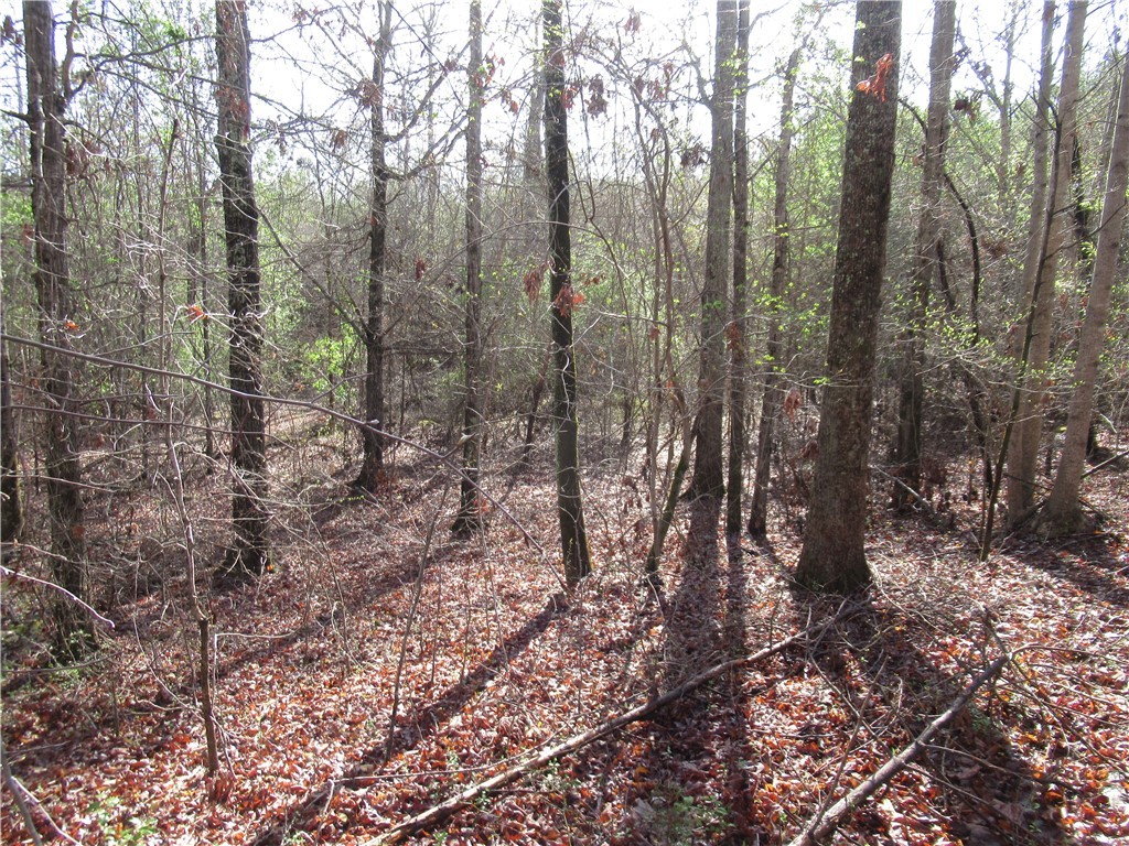 00 Amberway Drive, Easley, South Carolina image 17