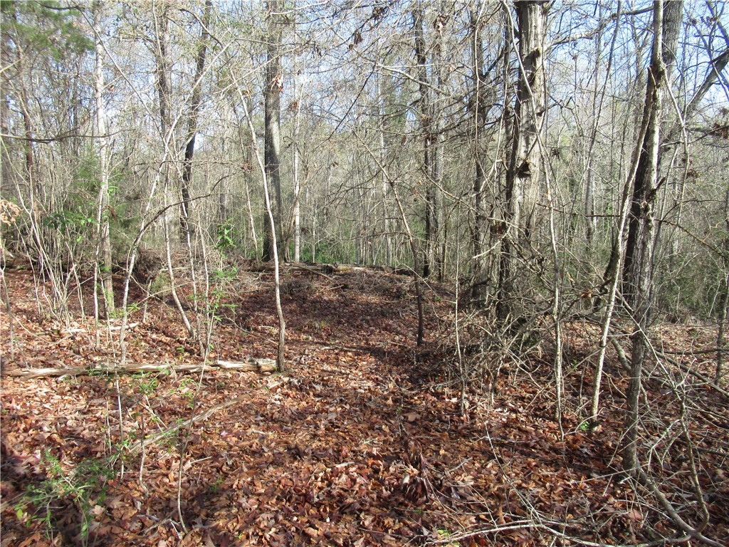 00 Amberway Drive, Easley, South Carolina image 19