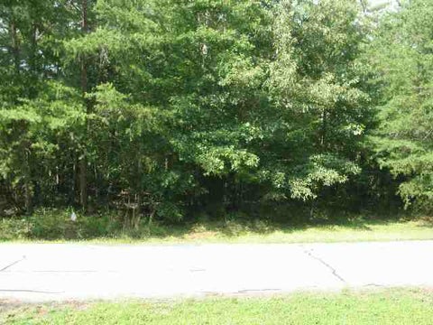 Vacant Land For Sale - LOTS 1054 AND 1055 North Hogan Drive<br/> Oconee County, Westminster, SC 29693