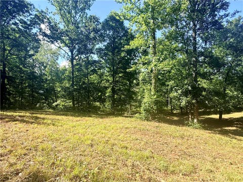 Vacant Land For Sale - LOT 49 Stardust Lane<br/> Seneca, SC 29672