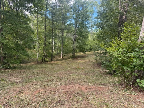 Vacant Land For Sale - LOT 49 Stardust Lane<br/> Seneca, SC 29672