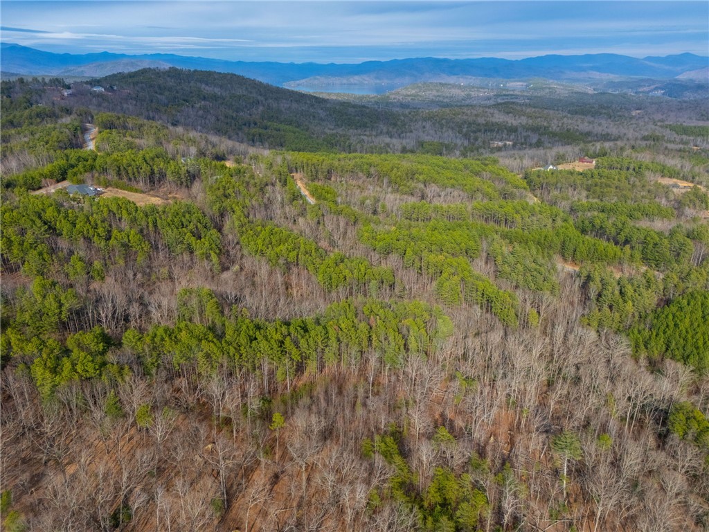TBD Lot S-30 Jocassee Ridge #LOT S-30, Salem, South Carolina image 11
